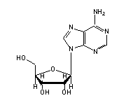 adenosine