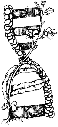 BioTechnology